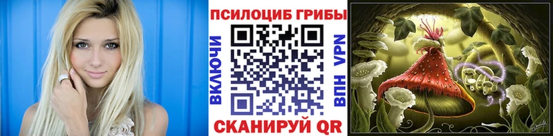 mega как зайти как найти закладки Тетюши Галлюциногенные грибы Cubensis